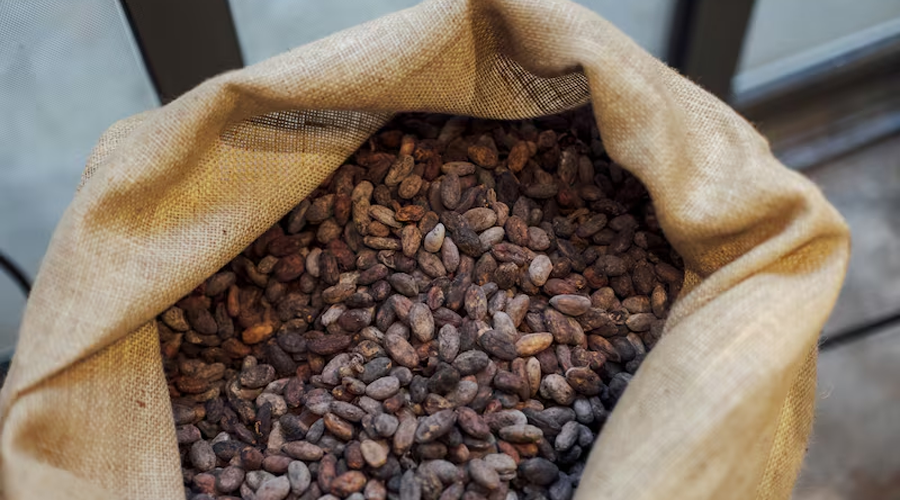 El cacao cae a su nivel más bajo en tres años por la debilidad de la demanda