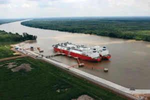 La-privatización-energética-del-Gobierno-Milei