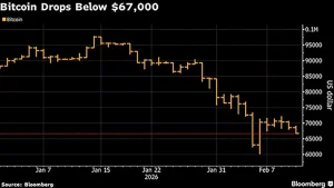 daily-11-febrero-bitcon-cae