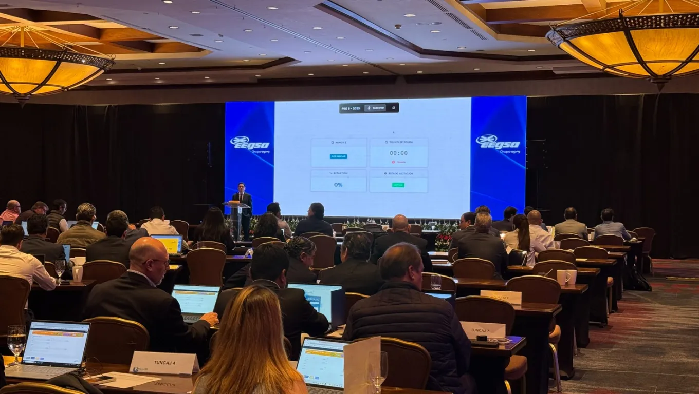 Subasta del PEG 5 Subasta del PEG 5