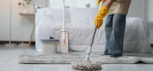 Trabajador-domestico Trabajador-domestico