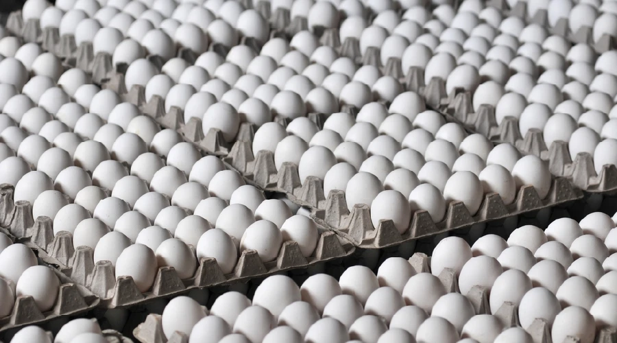 Daily-news-23-04-2026-nacionales-03