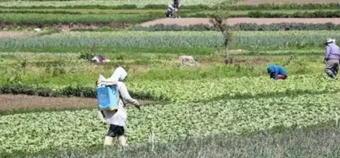 Destacada nacional 08-04-26 Daily N Destacada nacional 08-04-26 Daily N