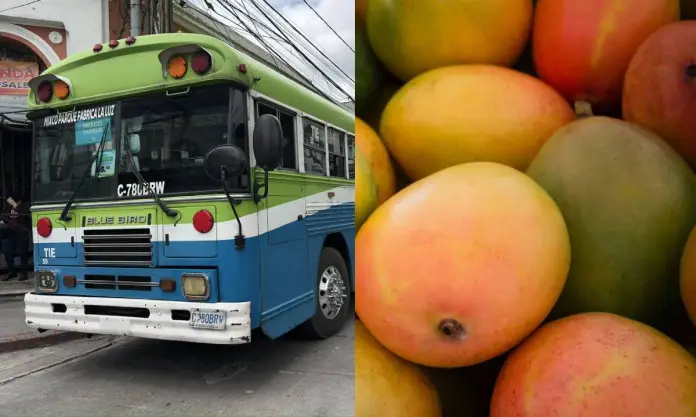 Transporte-combustibles-y-mangos-son-los-que-mas-aumentaron-de-precio-en-marzo-segun-el-INE Transporte-combustibles-y-mangos-son-los-que-mas-aumentaron-de-precio-en-marzo-segun-el-INE