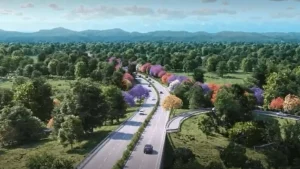 daily news - carretera xochi