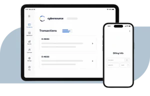 cybersource-soluciones