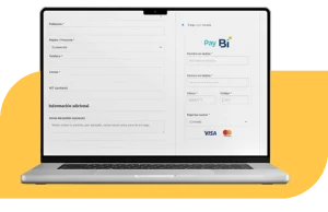 pay-bi-soluciones