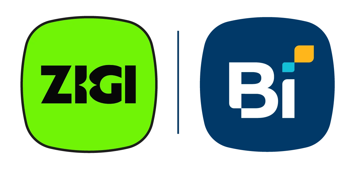 zigi-bi zigi-bi