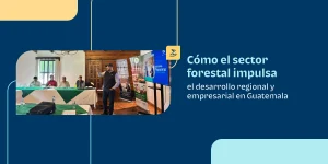 desarrollo-forestal