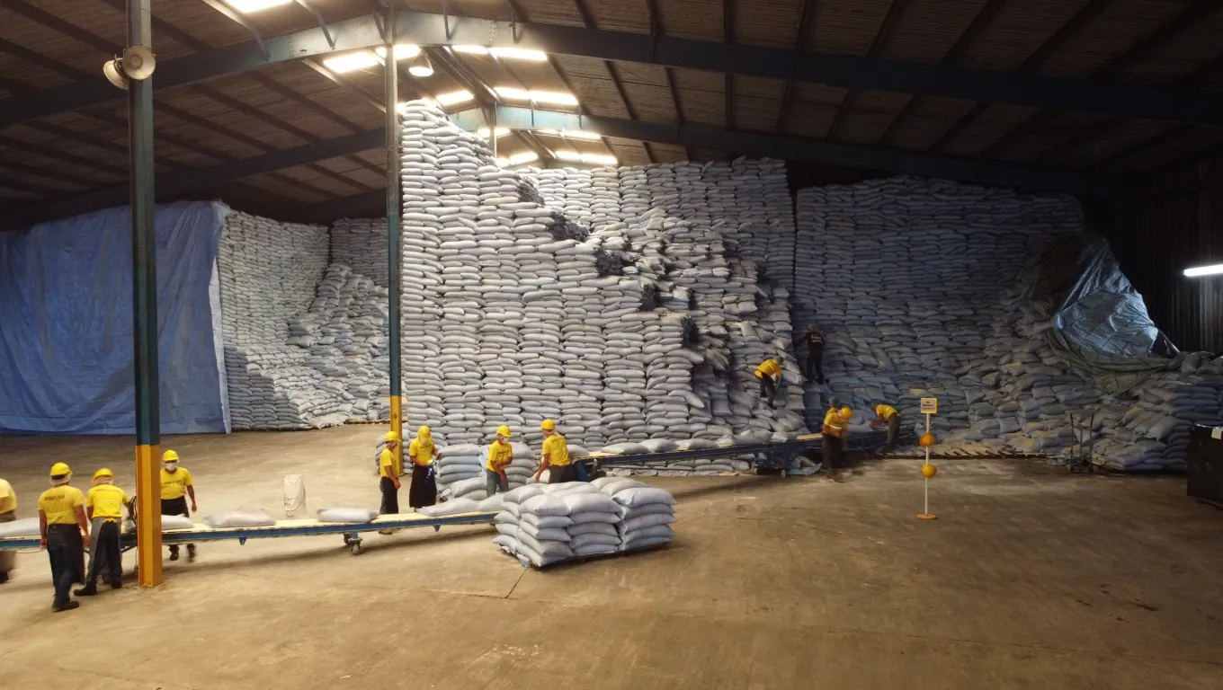 Exportacion-de-azucar Exportacion-de-azucar