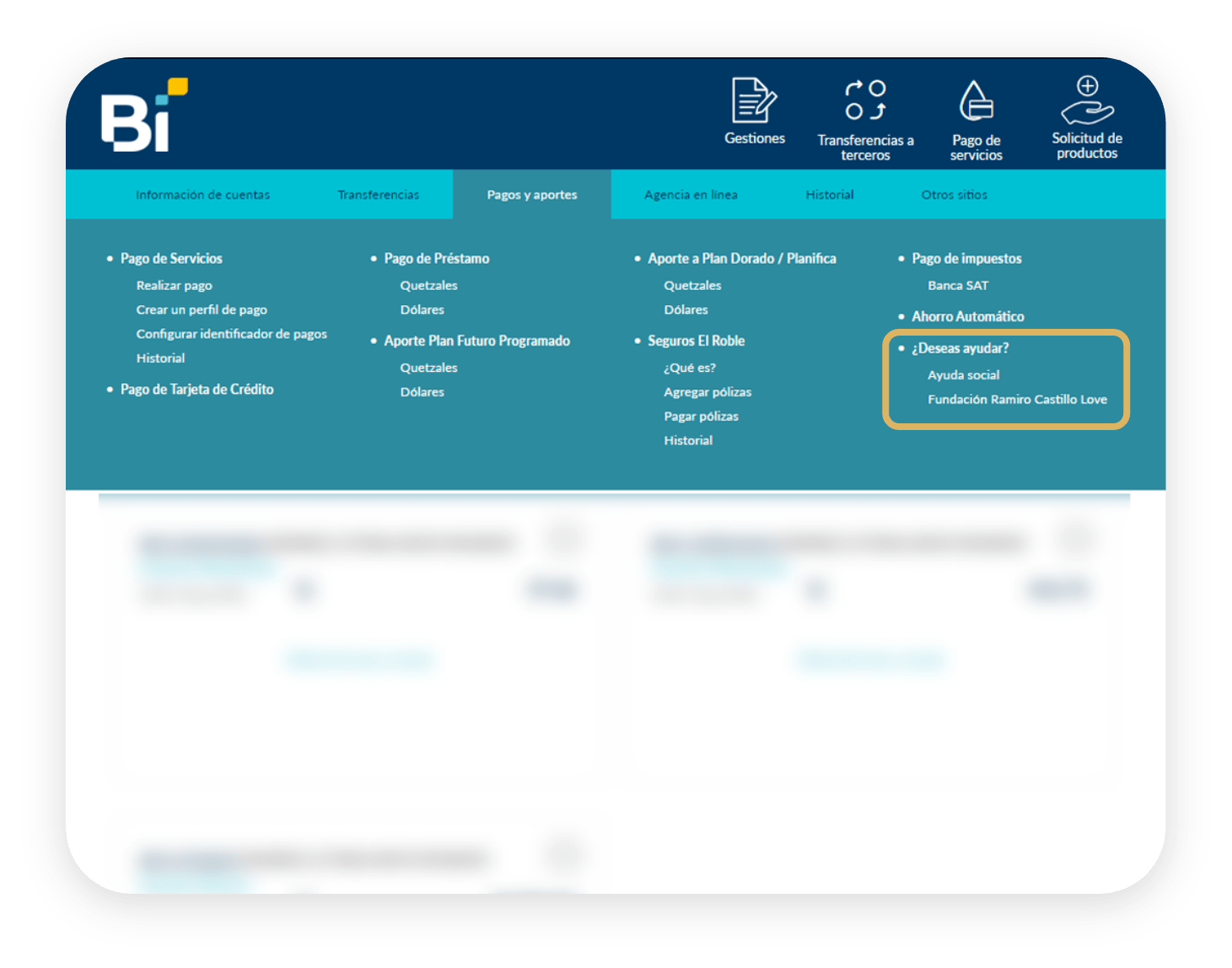 Cómo donar Bi en Línea - Paso 3
