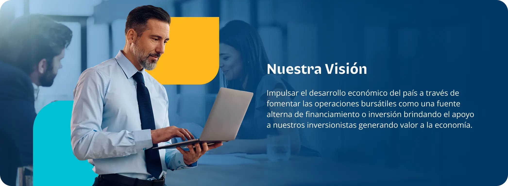 vision-web vision-web