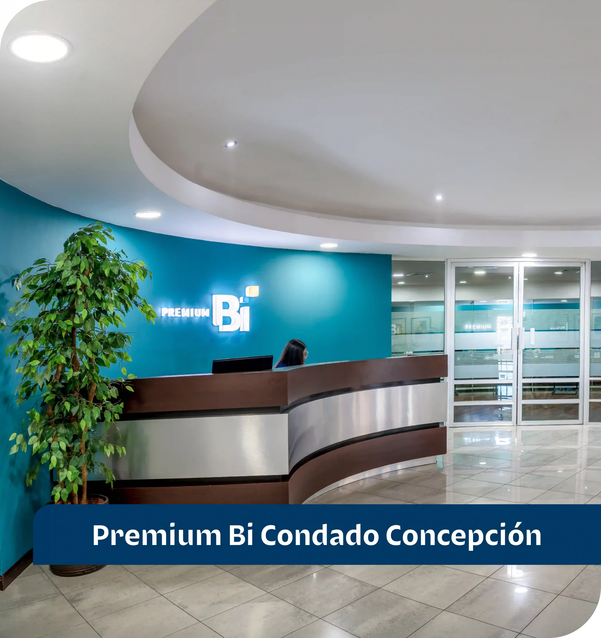 Premium Bi Condado Concepción Premium Bi Condado Concepción