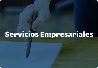 Servicios Empresariales