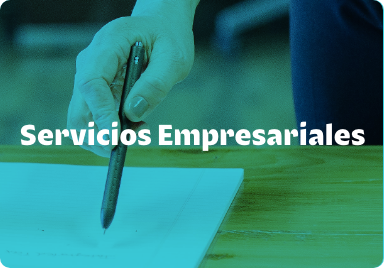 Servicios Empresariales