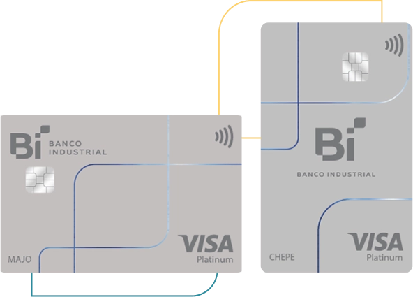 Visa Platinum Visa Platinum