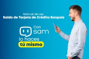 Saldo de Tarjetas de Crédito