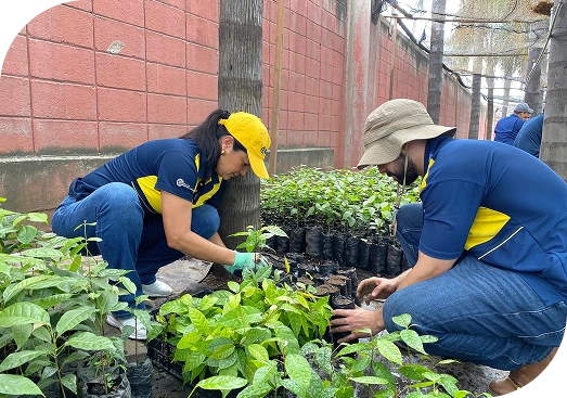 responsabilidad-corporativa-sembrar responsabilidad-corporativa-sembrar