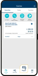 Paso 2: Selecciona la opción Pagos.