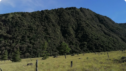 bien-reposeido-propiedad-volcan-paso-ancho-chiriqui-card