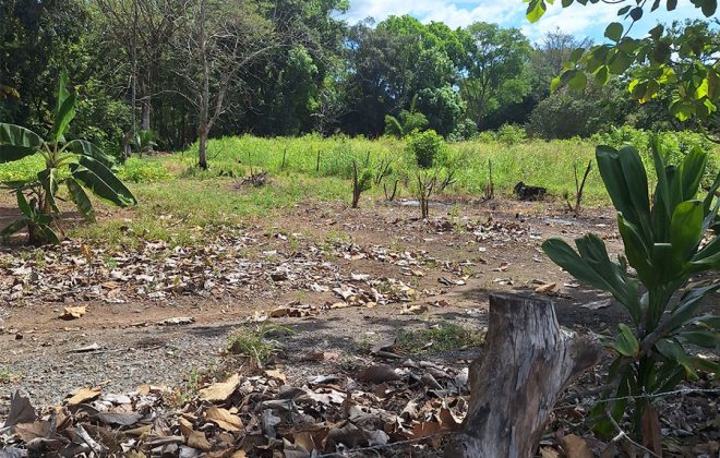 bien-reposeido-propiedad-david-chiriqui-2