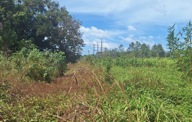 bien-reposeido-propiedad-david-chiriqui-5