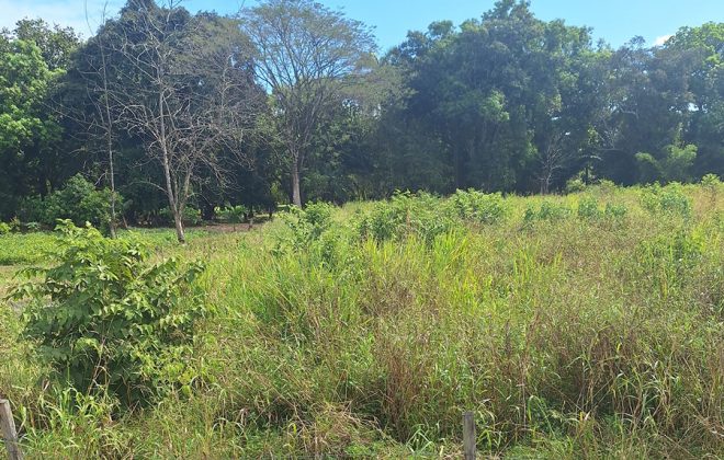 bien-reposeido-propiedad-david-chiriqui-6