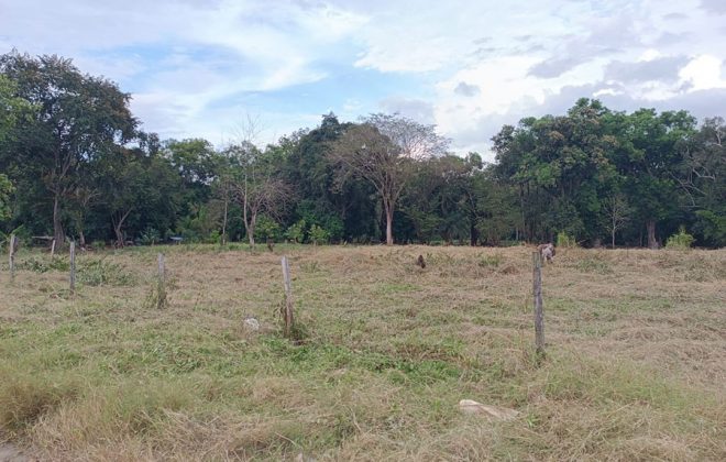 bien-reposeido-propiedad-david-chiriqui-7