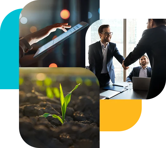 Banca Privada Bi Bank