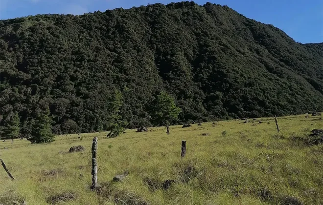 bien-reposeido-propiedad-volcan-paso-ancho-chiriqui-principal