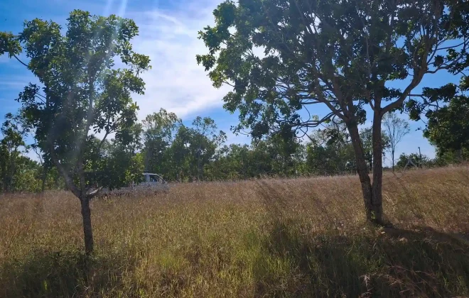 bien-reposeido-finca-anton-cocle3