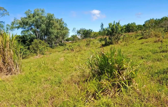 bien-reposeido-finca-anton-cocle5