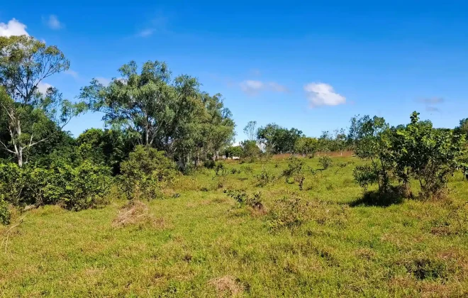 bien-reposeido-finca-anton-cocle7