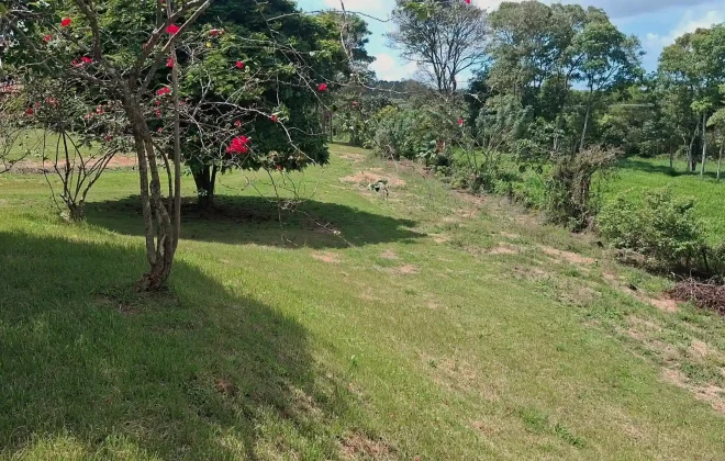 bien-reposeido-propiedad-nuevo-emperador-arraijan-13