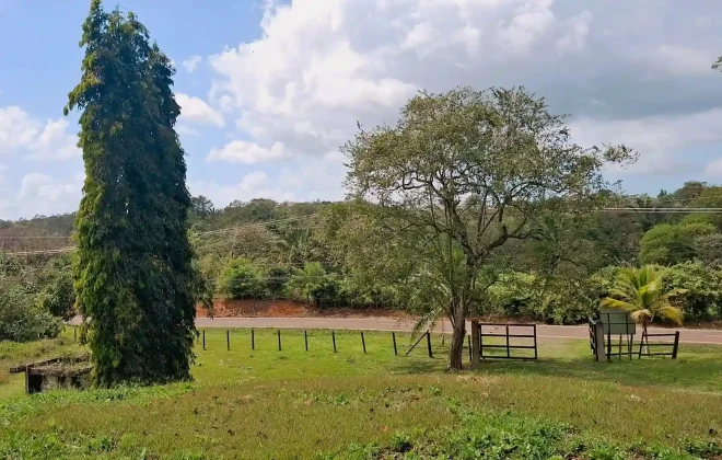 bien-reposeido-propiedad-nuevo-emperador-arraijan-10