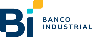 BI Logo